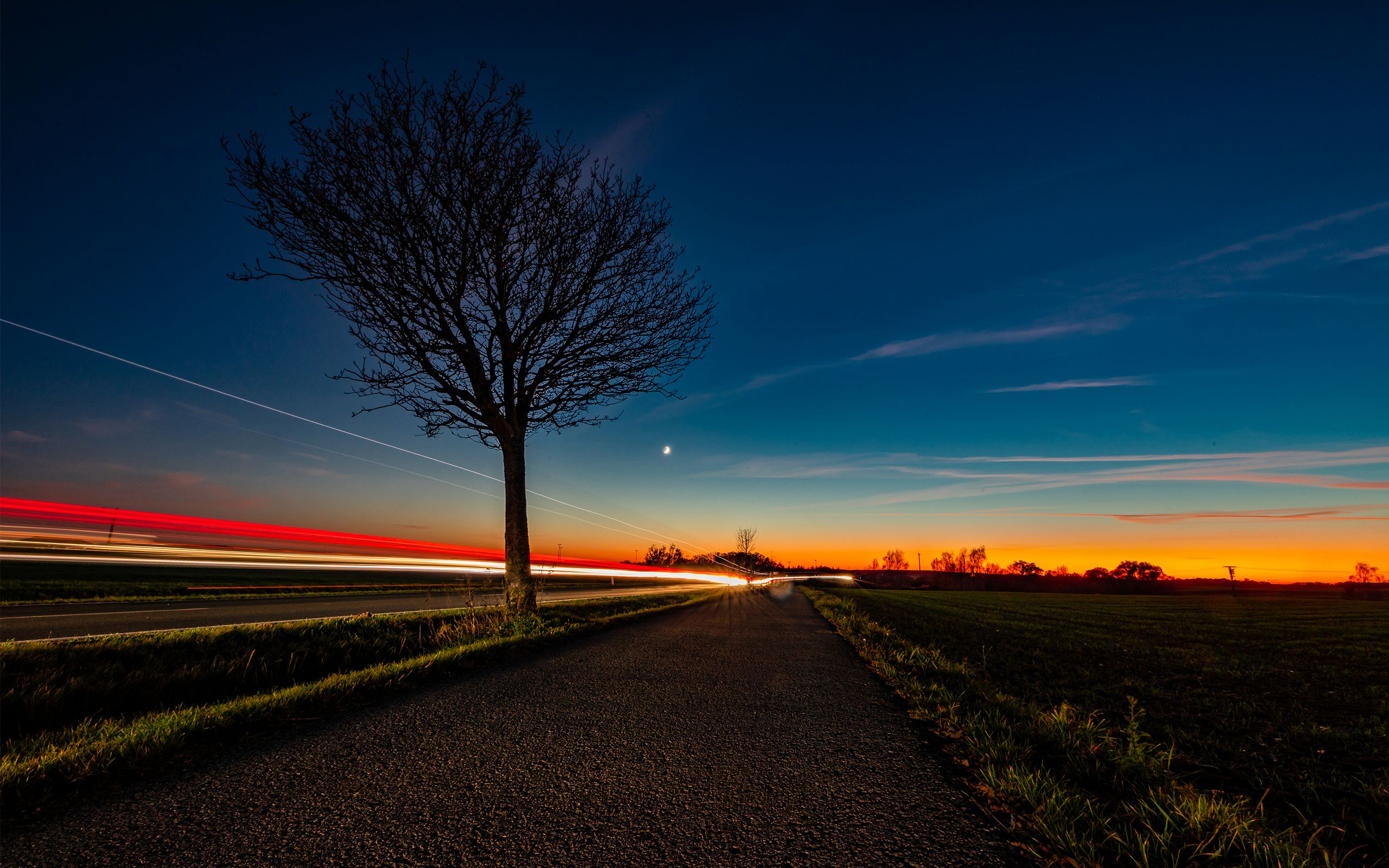 Ein Landschaftsfoto mit Sonnenuntergang, ein Baum steht am Straßenrand während Fahrzeuge vorbeifahren